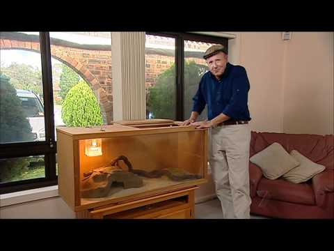 Childrens Python, Better Homes & Gardens segment