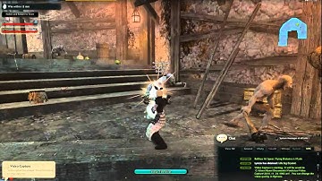 Vindictus: Attack Eagle Talon