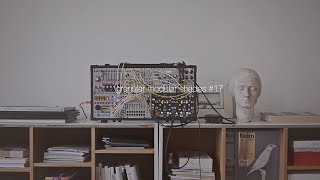 modular shades #17 | pantone black | granular modular synthesizer ambient music | morphagene er-301