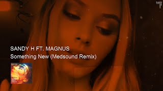 Sandy H feat Magnus  - Something New Medsound Remix Resimi