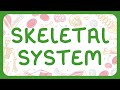 KS3 Biology Skeletal System Structure Of Bones Functions Of The Skeleton 