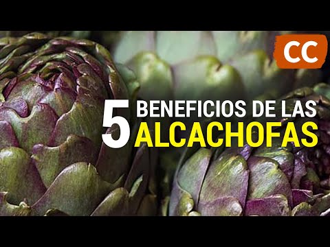 Video: ¿A qué sabe la alcachofa?