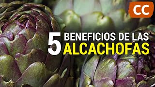 5 Beneficios de las Alcachofas | Ciencia de la Comida