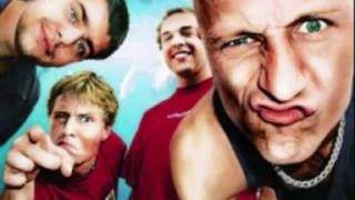 Wohnout-Cundalla-Jevany.wmv