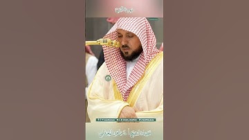 تلاوة خاشعة 🕊 سورة التين 🌿  الشيخ أ.د ماهر بن حمد المعيقلي