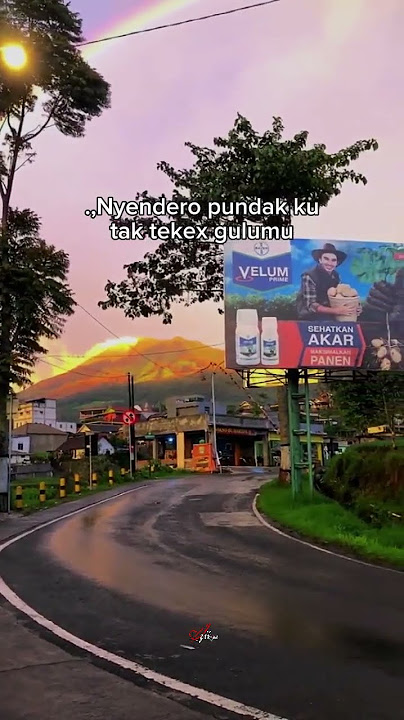 Download lagu kata kata jawa | story wa #shortvideo #shorts