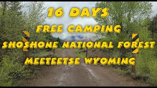16 Day Free Camping Shoshone National Forest Meeteetse Wyoming