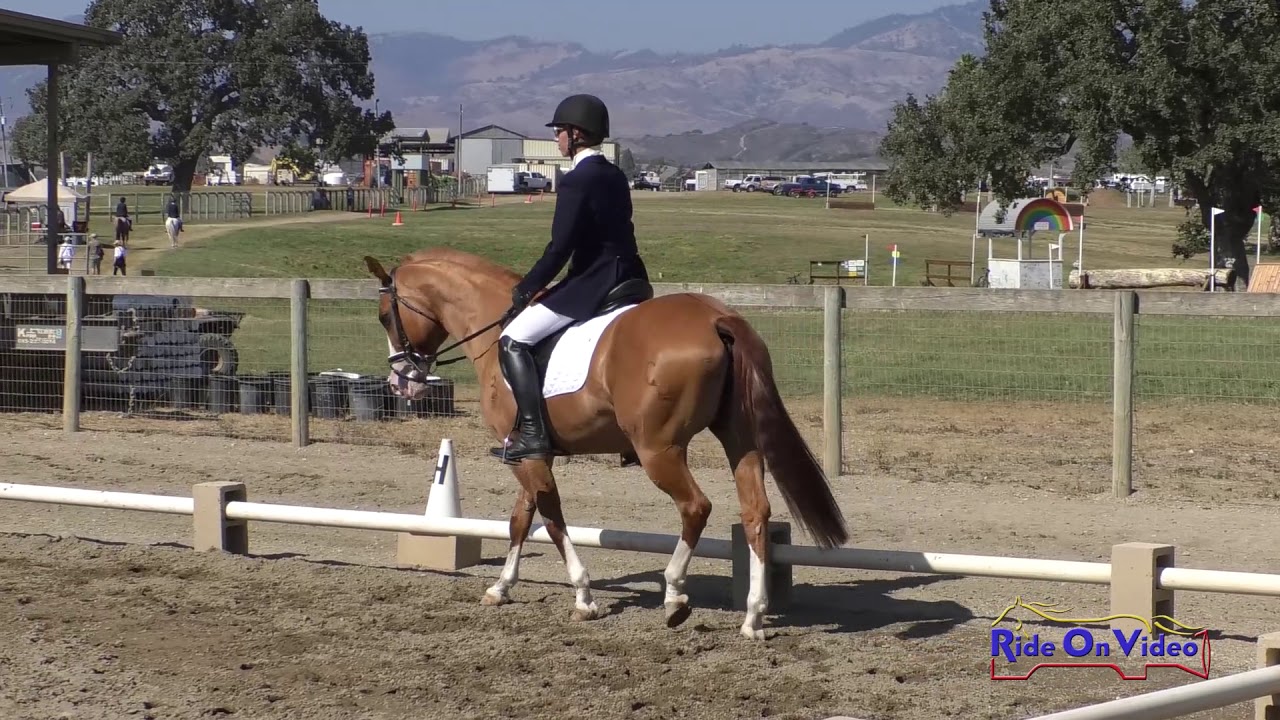 horseshoe bend 118D Chloe Kischuk on Dun with You Intro Dressage Shepherd Ranch August 2019