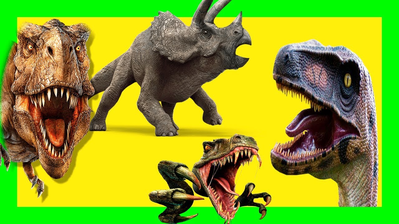 😍 DINOSAURS FOR TODDLERS😍 Real Dinosaurs! T-Rex, Velociraptor,  Triceratops - YouTube