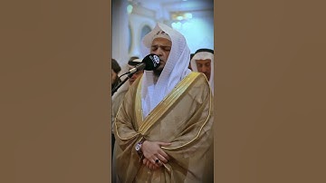 سورة یٰس بصوت محمد عبادة| قِيلَ ادْخُلِ الْجَنَّةَ قَالَ يَا لَيْتَ قَوْمِي يَعْلَمُونَ