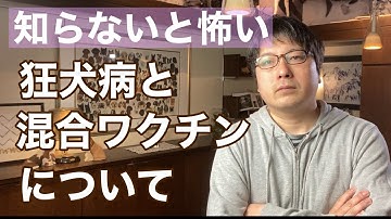 【必須知識！】犬の狂犬病、混合ワクチンをペットショップ店長が解説