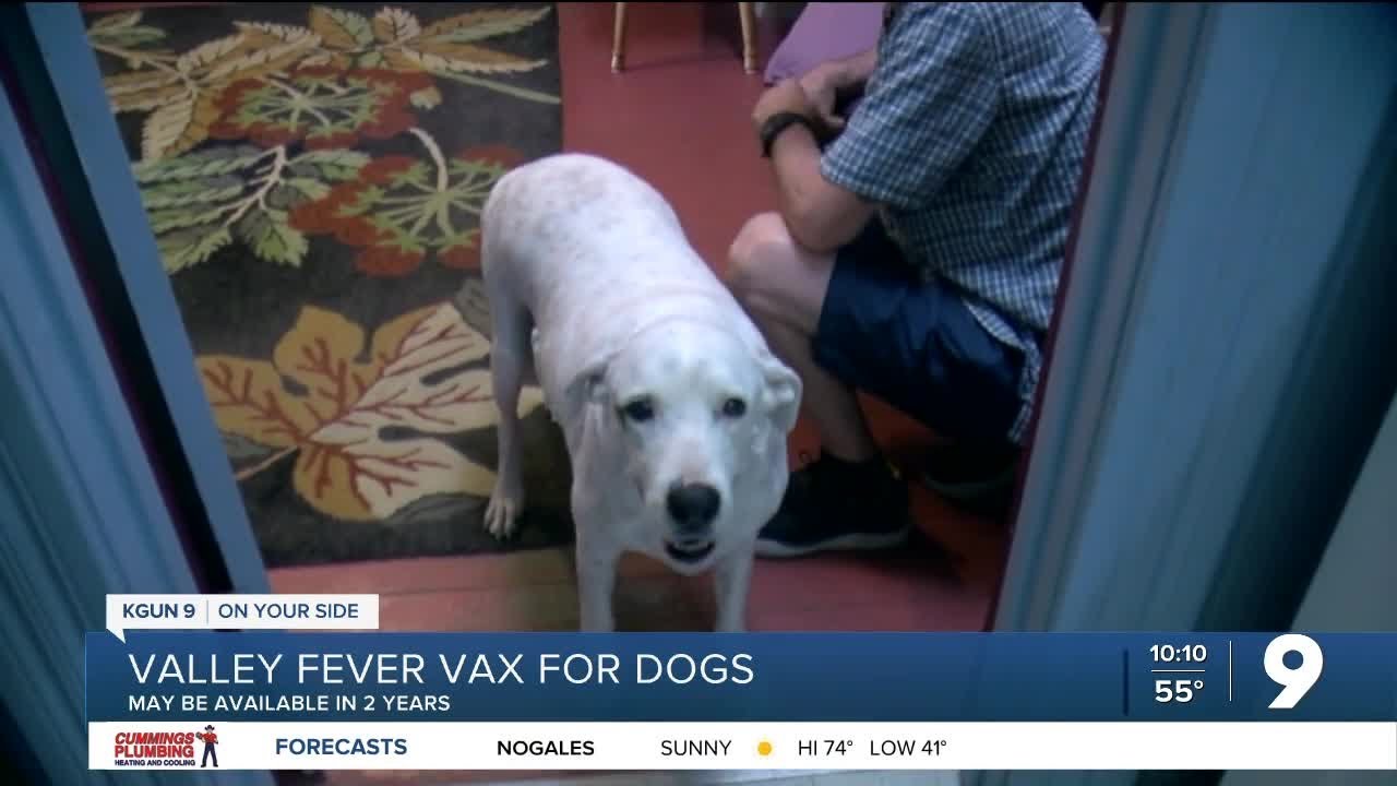 UArizona develops Valley Fever vaccine for dogs