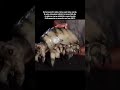 O Monstro Mecânico Feito de Carne e Metal 🎬 #shorts