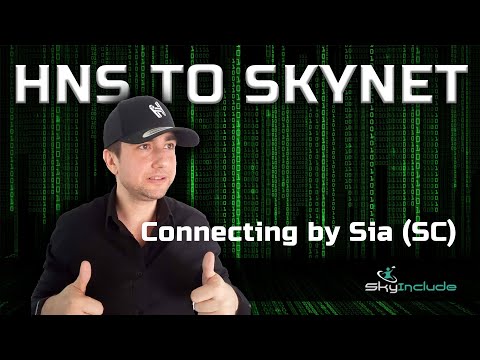 Uploading Website to Skynet & Setup Your Handshake Domain DNS