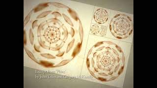 Musica e Cimatica esperimenti  da Cymatic Music