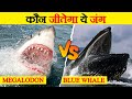 Megalodon और Blue Whale में कौन कितना ताकतवर? | Megalodon Vs Blue Whale | Marine Life