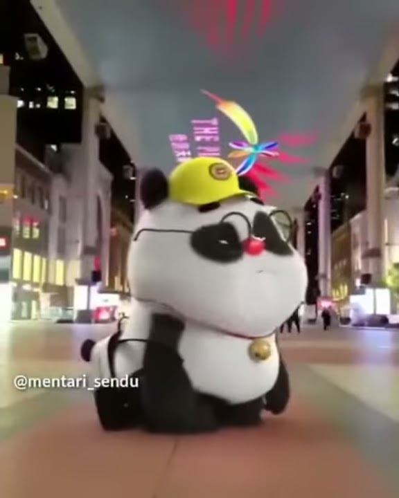 sorry nyanda barasa (edisi panda)