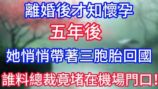 離婚後才知懷孕，五年後，她悄悄帶著三胞胎回國，誰料總裁竟堵在機場門口！