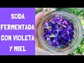 🌸Soda fermentada con VIOLETA Y MIEL 🌸