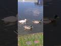 Stourport on Severn Marina in Worcestershire, England. Video Filmed By Me.