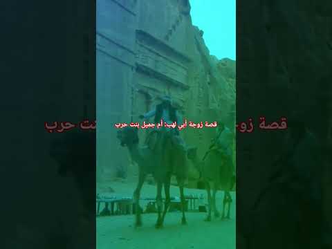 قصة زوجة أبي لهب أم جميل بنت حرب الجميع اكسبلور متابعين