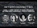 Interconnected Part 1: Confronting Racial Prejudices between Asian American & Black Communities