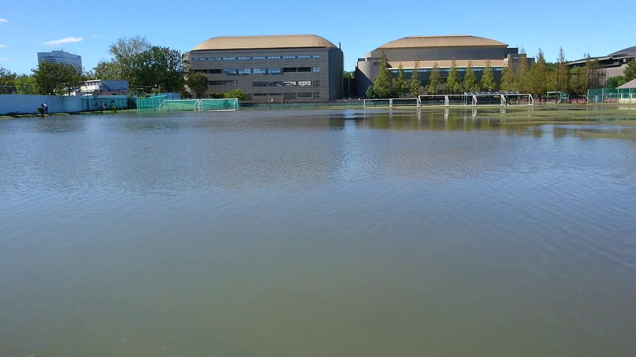 台風19号 等々力緑地 多目的広場 水浸し Youtube