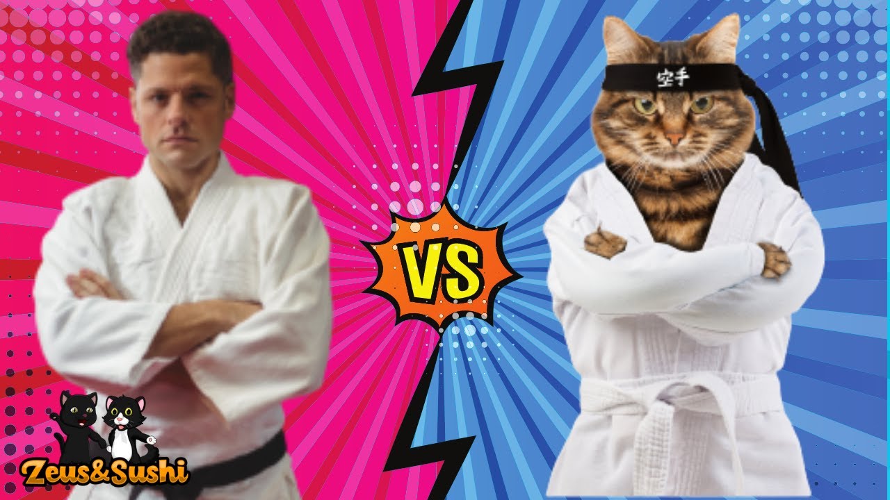 Street Fighter Cats Edition