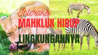 INTERAKSI MAHKLUK HIDUP DAN LINGKUNGANNYA