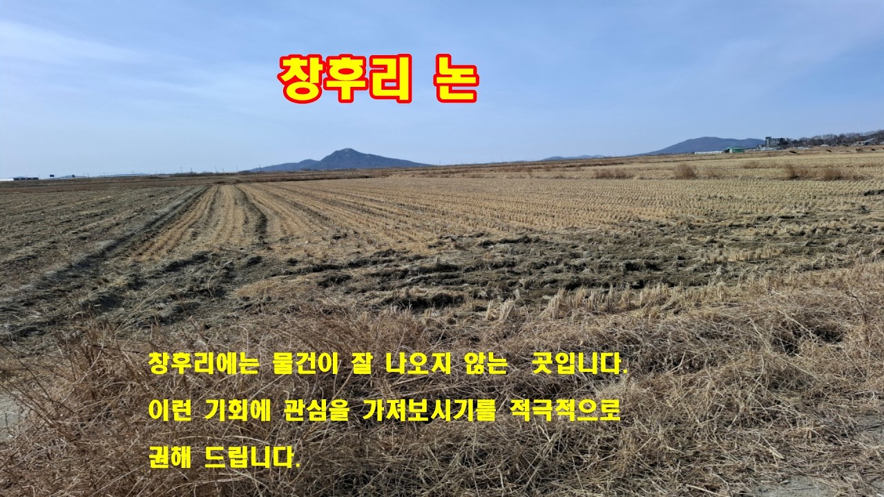 #강화도땅 #강화도부모님주택 #강화도부동산 #강화도급매물 #창후리논 #하점면물건 #강화도농막 #강화도땅 #강화도물건 #강화도농지 #강화농지 #강화토지