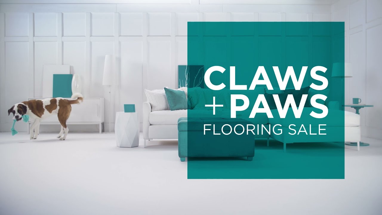Carpet Specialists Carpet One - Claws and Paws - April, 2021