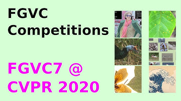 FGVC7: Competition Spotlights