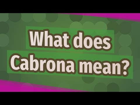 What Does Cabrona Mean Youtube