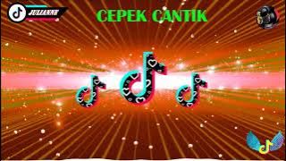 [ CEPEK CANTIK ] TikTok Viral Remix 2021 - Budots Remix Disco Music Nonstop - Julianne Remix