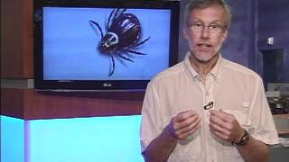 Tick Awareness Interview