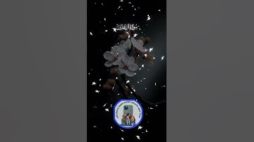 أجمل التلاوات بصوت لم تسمعه من قبل صوت ملائكي