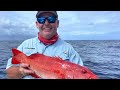Catching Coral Trout on lures at the Great Barrier Reef. 🦐🦐🦐
