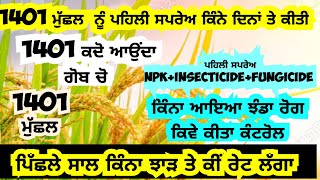 1401 ਮੁੱਛਲ ਤੇ ਪਹਿਲੀ ਸਪਰੇਅ👈 ਪਿੱਛਲੇ ਸਾਲ ਦਾ ਝਾੜ ਤੇ ਕੀਂ ਰੇਟ 1401 paddy