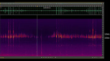 Che suono emette il pipistrello?