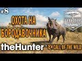 theHunter Call of the Wild #8 🔫 - Охота на Бородавочника - Винтовка - Спрингбок