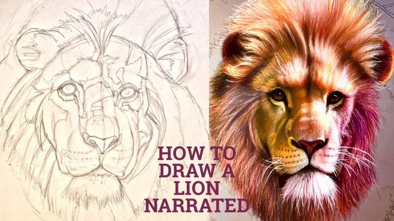 How to draw a lion - YouTube