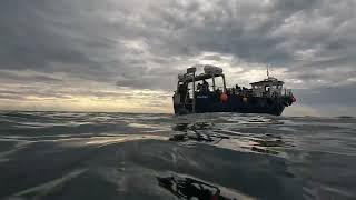 Diving  the North Sea with no lights 2026 . Crumbstone Reef