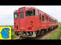 氷見線たらこ列車 北陸新幹線 あいの風富山鉄道列車 通過 Himi Line, Hokuriku Shinkansen, Ainokaze Toyama Railway Trains Passing