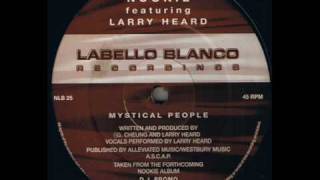 Nookie Featuring Larry Heard - Mystical People