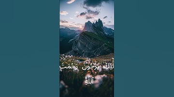 سورة البقرة الحزب الرابع القارئ اسلام صبحي