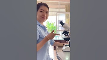 Sự Thật Về Nước Mưa Dưới Kính Hiển Vi 97🔬
