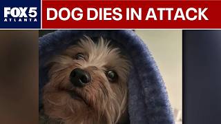 Ring camera captures audio of fatal South Fulton dog attack | FOX 5 News