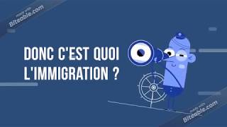 Quelles sont les causes et les conséquences de l'immigration ?