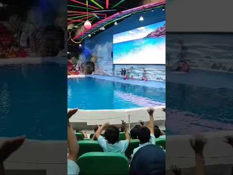 Dolphinarium Dubai#entertainment#Dubai#life#viral