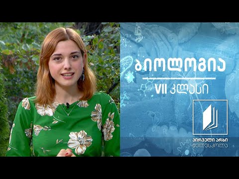 ბიოლოგია VII კლასი - ბაქტერიული და ვირუსული დაავადებები #ტელესკოლა